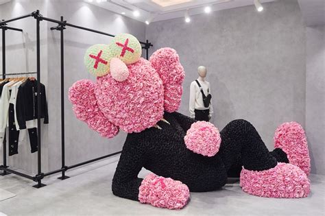 kaws dior clothing